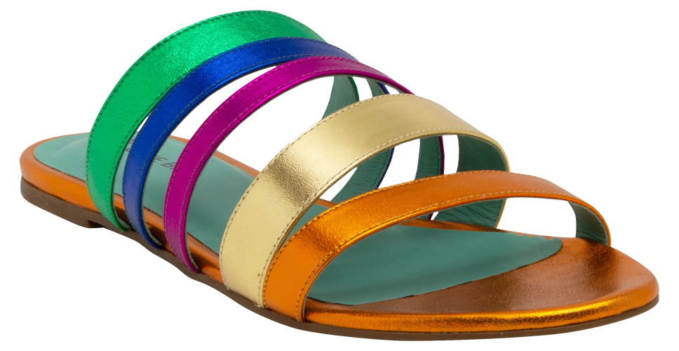 Metallic Rainbow Strap Flat - Blue Bird Shoes 